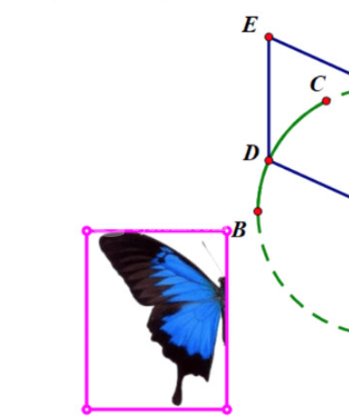 几何画板如何绘制蝴蝶动画 几何画板蝴蝶动画设计方法截图