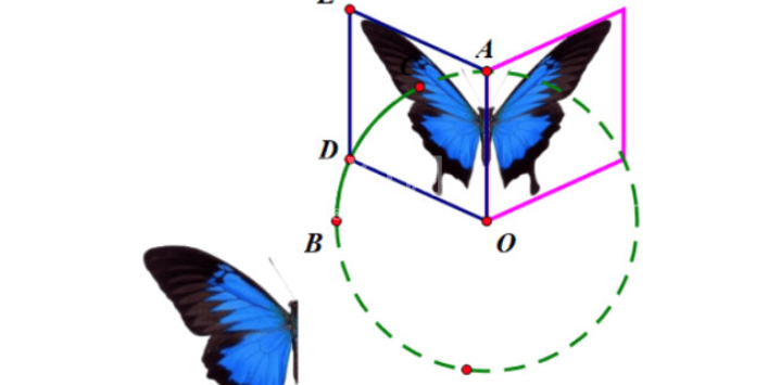 几何画板如何绘制蝴蝶动画 几何画板蝴蝶动画设计方法截图