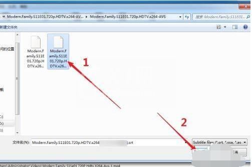 handbrake怎样给视频添加编写的字幕?handbrake给视频添加编写字幕方法截图