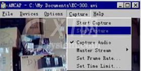 amcap如何拍照?AMCAP使用摄像头拍照教程截图