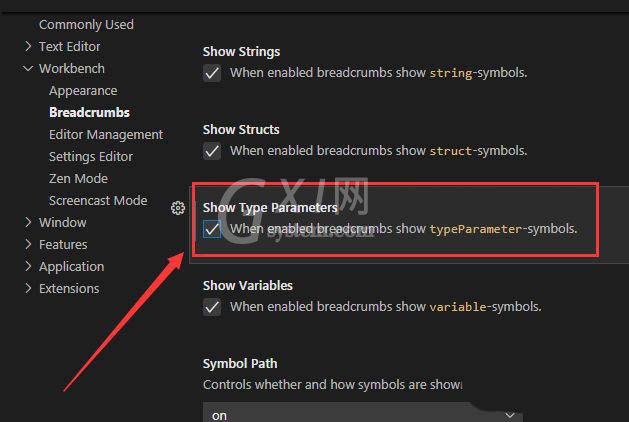 VSCode如何显示类型参数?VSCode类型参数显示方法截图