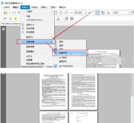 知云文献翻译如何两窗口显示文献?知云文献翻译两窗口显示文献的方法截图