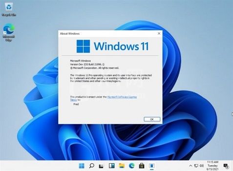 win11下载路径怎么设置?win11设置下载路径的步骤教程截图