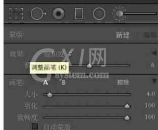 lightroom如何使用蒙版?lightroom使用蒙版方法截图