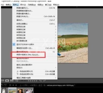 lightroom如何转换图片格式为dng?lightroom转换图片格式为dng的方法截图