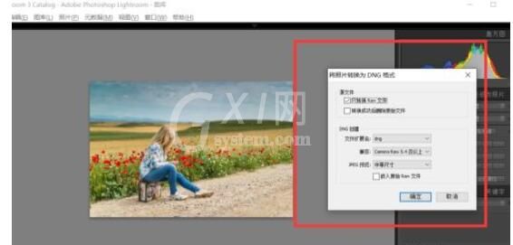 lightroom如何转换图片格式为dng?lightroom转换图片格式为dng的方法截图