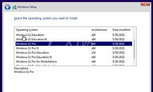 Win11安装版本选择哪个好?win11安装版本推荐分享截图