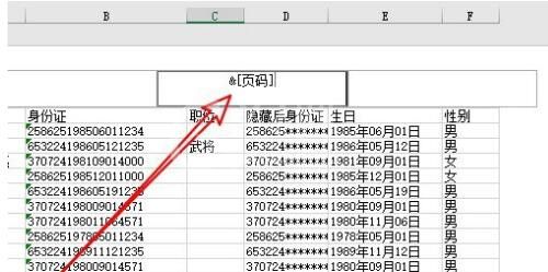 excel2019怎样给表格加页码?excel2019给表格加页码的方法截图