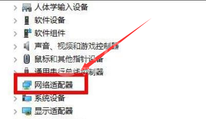 Windows11显卡驱动怎么重新安装？Windows11显卡驱动重新安装操作步骤截图