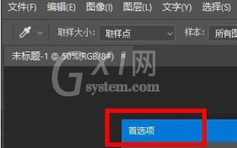 PS2020如何设置历史记录？PS2020设置历史记录的步骤截图