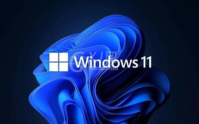 Win11有多少个版本？Win11版本区别对比介绍