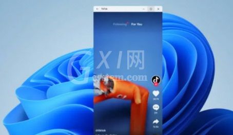 Windows11怎么安装抖音?Windows11看抖音教程介绍截图
