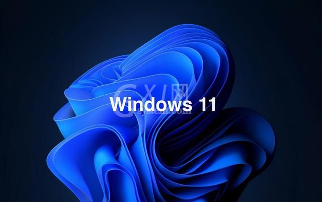 Win11专业版和家庭版有什么区别?Win11专业版和家庭版对比介绍