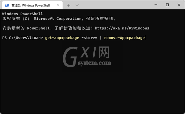 升级Win11系统还是Win10的应用商店怎么办？升级Win11后还是Win10的应用商店解决办法截图