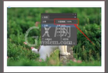 Indesign如何调整对象透明度?Indesign调整对象透明度教程截图