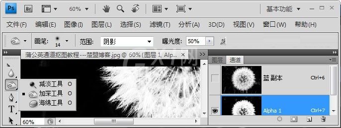 Photoshop如何完成蒲公英抠图?Photoshop蒲公英抠图教程截图