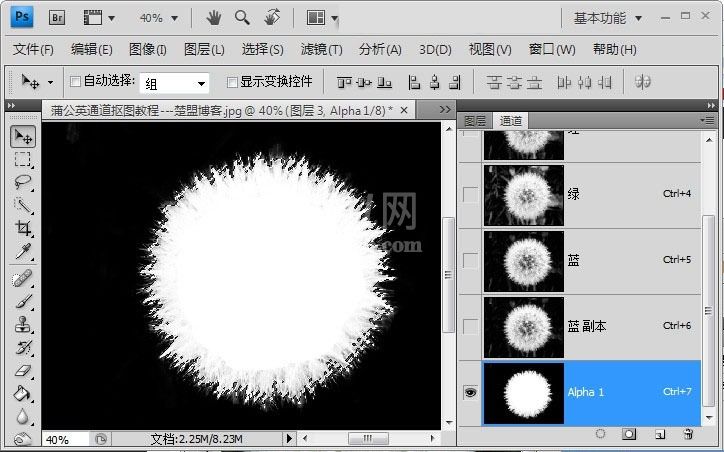 Photoshop如何完成蒲公英抠图?Photoshop蒲公英抠图教程截图