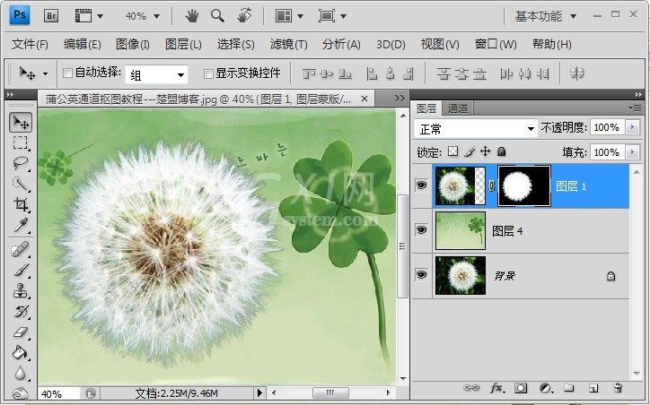 Photoshop如何完成蒲公英抠图?Photoshop蒲公英抠图教程截图