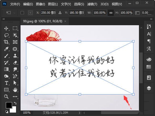 ps图片白色背景如何去掉?ps图片白色背景去掉步骤一览截图