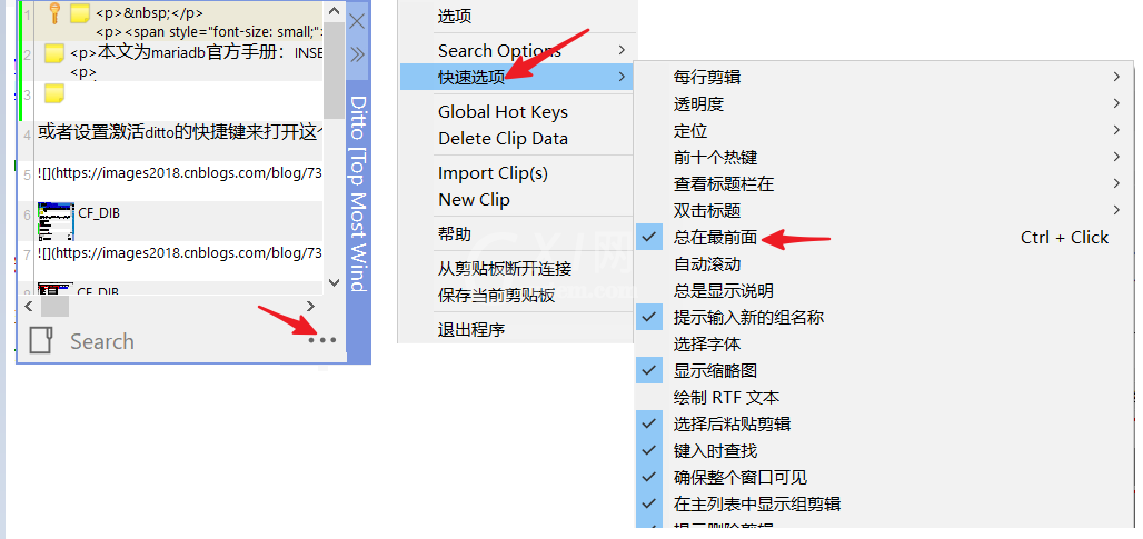 Ditto剪贴板管理工具怎么用？Ditto剪贴板管理工具使用方法截图