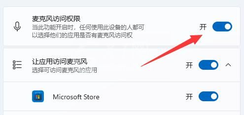 win11麦克风没声音怎么办？win11麦克风没声音解决技巧截图