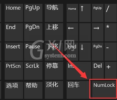 Win11键盘打不了字怎么办？Win11键盘打不了字解决办法截图