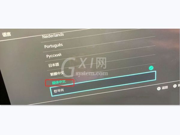 switch如何设置中文语言？switch启用简体中文教程截图