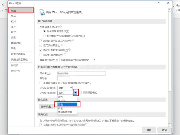 word怎样设置office主题?word开启黑色主题方法介绍截图
