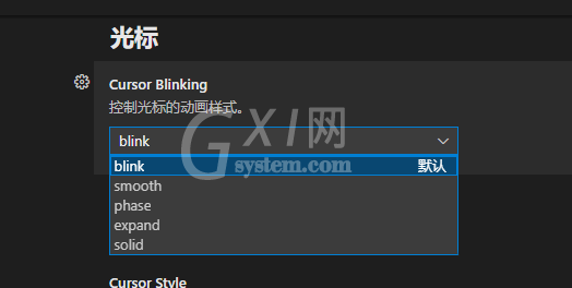 vscode在哪里设置鼠标光标动画？vscode设置鼠标光标动画方法步骤截图