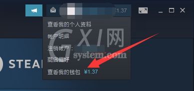 steam支付方式没有steam钱包怎么办？steam支付方式没有steam钱包解决办法截图