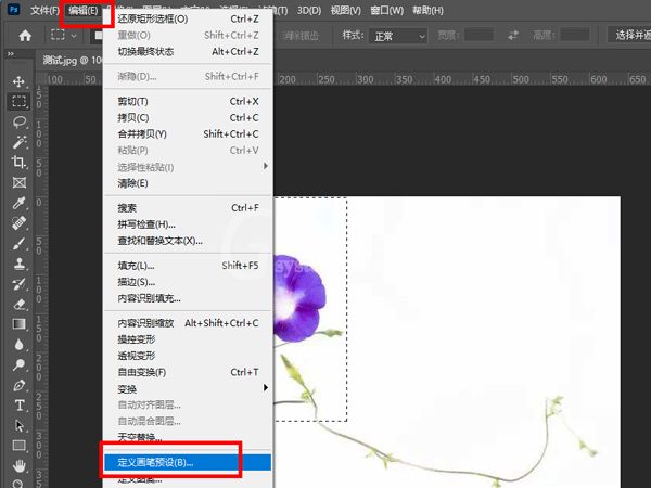 ps怎么制作图案画笔？ps制作图案画笔详细教程截图