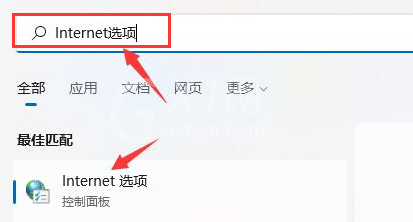 Windows11浏览器没网怎么解决？Windows11设置局域网络技巧截图