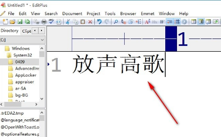 EditPlus字体怎么变大？EditPlus设置字体大小步骤介绍