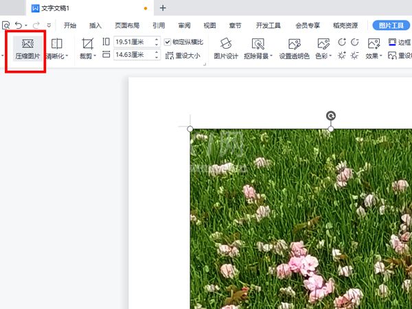 WPS怎么压缩图片?WPS压缩图片的方法截图
