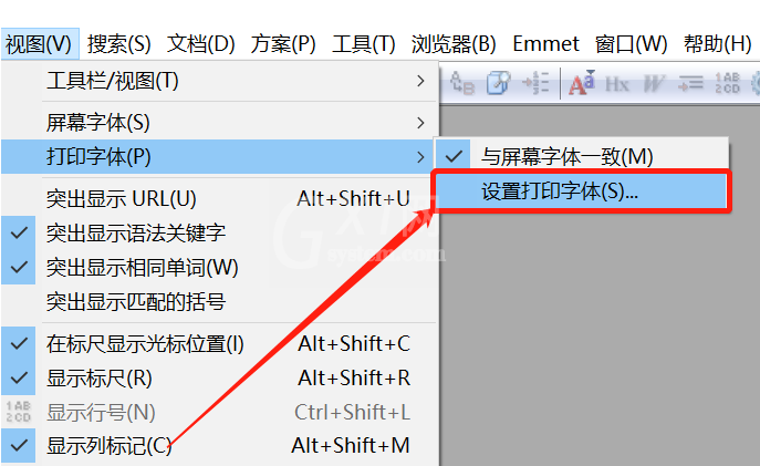 EditPlus打印文件字体怎么改？EditPlus设置打印字体技巧分享截图