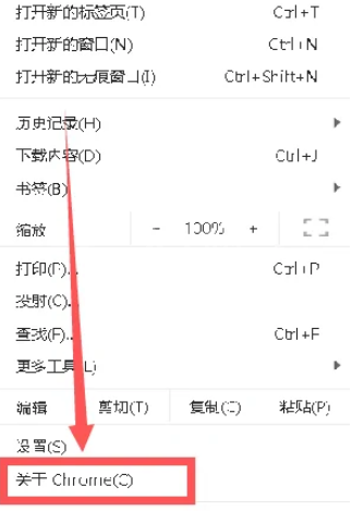 Google浏览器怎么查看版本号?Google浏览器查看版本号教程截图