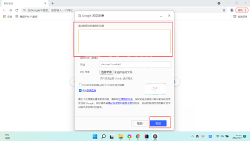 Google浏览器如何发送反馈?Google浏览器发送反馈的方法截图