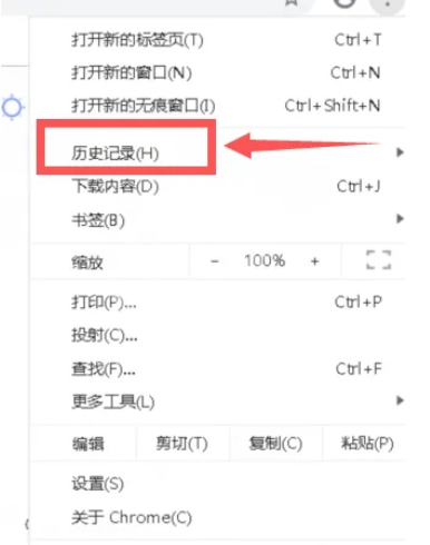 Google浏览器怎么查看历史记录?Google浏览器查看历史记录的方法截图