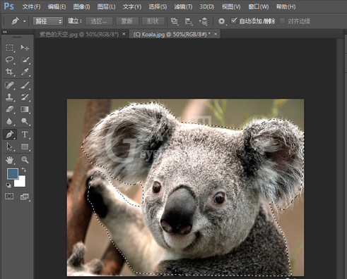 photoshop8.0怎么抠图?photoshop8.0抠图教程截图