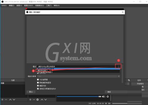 OBS Studio如何捕获进程?OBS Studio捕获进程的方法截图