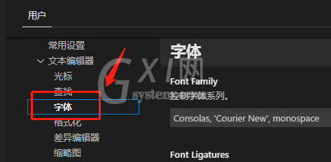 Vscode怎么设置字体大小?Vscode设置字体大小教程截图