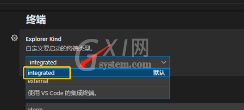 Vscode怎么自定义终端类型？Vscode自定义终端类型方法截图