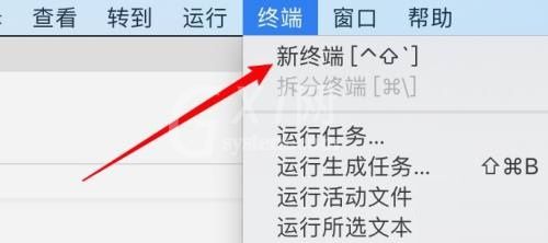 Vscode如何在终端显示结果？Vscode在终端显示结果教程截图