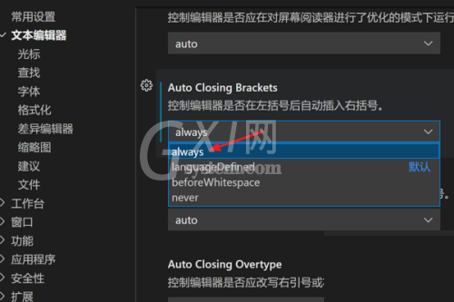 Vscode怎么设置自动插入右括号?Vscode设置自动插入右括号教程截图