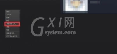 steam9位数字id怎么查看?steam9位数字id查看方法截图