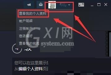 steam17位id怎么查看?steam17位id查看教程