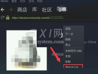 steam17位id怎么查看?steam17位id查看教程截图