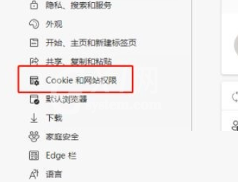 microsoft edge怎么查看Cookie数据？microsoft edge查看Cookie数据教程截图