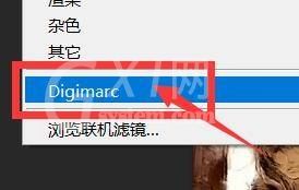 Photoshop怎么读取水印?Photoshop读取水印教程截图