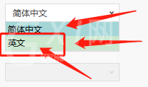 Dlabel怎么更换界面语言？Dlabel更换界面语言教程截图